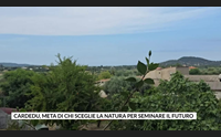 cardedu meta di chi sceglie la natura per seminare il futuro