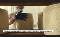 pecorino romano preoccupano i dazi usa dopo il boom dell export