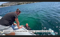 alessandro il sub speciale adottato dal comsubin ieri la consegna del brevetto