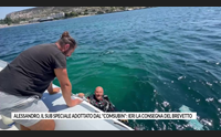 alessandro il sub speciale adottato dal comsubin ieri la consegna del brevetto