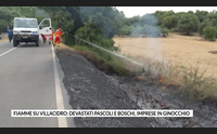 fiamme su villacidro devastati pascoli e boschi imprese in ginocchio