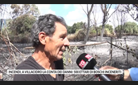 incendi a villacidro la conta dei danni 500 ettari di boschi inceneriti