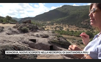 bonorva nuove scoperte nella necropoli di sant andrea priu