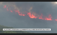 villacidro l assessora all ambiente sulle aree devastate dal fuoco
