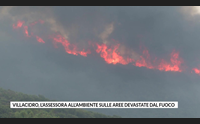 villacidro l assessora all ambiente sulle aree devastate dal fuoco