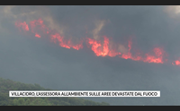 villacidro l assessora all ambiente sulle aree devastate dal fuoco