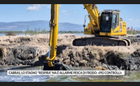 cabras lo stagno respira ma allarme pesca di frodo pi controlli