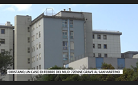 oristano un caso di febbre del nilo 72enne grave al san martino