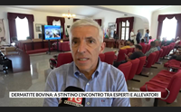 dermatite bovina a stintino l incontro tra esperti e allevatori