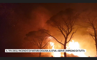 il 70 degli incendi di natura dolosa il cfva serve l impegno di tutti
