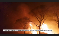il 70 degli incendi di natura dolosa il cfva serve l impegno di tutti