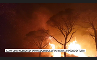 il 70 degli incendi di natura dolosa il cfva serve l impegno di tutti