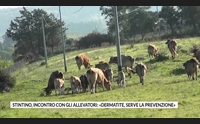 stintino incontro con gli allevatori dermatite serve la prevenzione