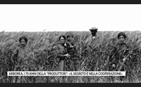 arborea i 70 anni della produttori il segreto nella cooperazione