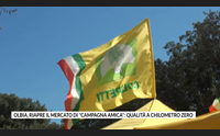 olbia riapre il mercato di campagna amica qualit a chilometro zero