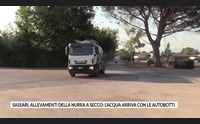 sassari allevamenti della nurra a secco l acqua arriva con le autobotti
