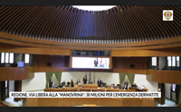 regione via libera alla manovrina 30 milioni per l emergenza dermatite