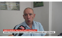 amaro ferragosto dermatite e west nile emergenza nell oristanese