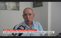 amaro ferragosto dermatite e west nile emergenza nell oristanese