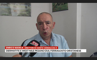 dermatite e west nile pesano dul ferragosto oristanese