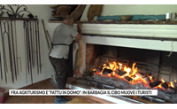 fra agriturismo e fattu in domo in barbagia il cibo muove i turisti