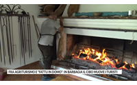 fra agriturismo e fattu in domo in barbagia il cibo muove i turisti