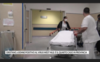 oristano 65enne positivo al virus west nile il quarto caso in provincia