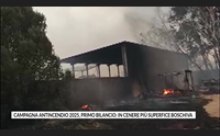campagna antincendio 2025 primo bilancio in cenere pi superfice boschiva
