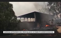 campagna antincendio 2025 primo bilancio in cenere pi superfice boschiva