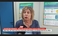 west nile settimo caso sull uomo nell oristanese un 62enne positivo al virus