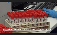 febbre del nilo nuovo contagio a oristano l ottavo caso