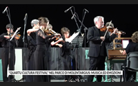 quartu cultura festival nel parco di molentargius musica ed emozioni