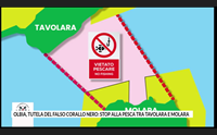 olbia tutela del falso corallo nero stop alla pesca tra tavolara e molara