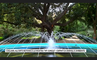 cagliari all orto botanico la mostra my jungle i dipinti di animali e ambiente