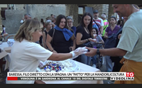 baressa filo diretto con la spagna un patto per la mandorlicoltura