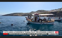 castelsardo la missione di fondali puliti per difendere l ambiente