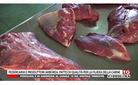 federcarni e produttori arborea patto di qualit per la filiera della carne