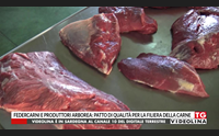 federcarni e produttori arborea patto di qualit per la filiera della carne