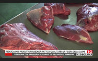 federcarni e produttori arborea patto di qualit per la filiera della carne