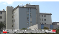 west nile l esperto prevenzione ambientale c rischio endemizzazione