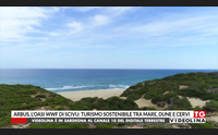 arbus l oasi wwf di scivu turismo sostenibile tra mare dune e cervi
