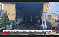 arborea fuoco nelle scuderie di horse country morti sette cavalli e un cane