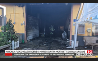 arborea fuoco nelle scuderie di horse country morti sette cavalli e un cane