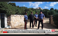 l omicidio di cinzia pinna nel pomeriggio emanuele ragnedda dal gip