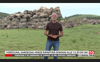 videolina sardegna verde ripartir domani alle 13 30 da uri