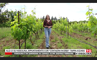alle 21 su videolina appuntamento con contadini in erba tappa a elmas
