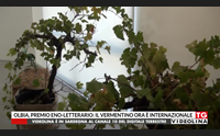 olbia premio eno letterario il vermentino ora internazionale