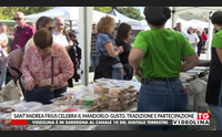 sant andrea frius celebra il mandorlo gusto tradizione e partecipazione