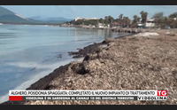 alghero posidonia spiaggiata completato il nuovo impianto di trattamento