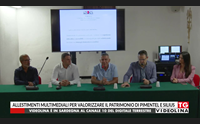 allestimenti multimediali per valorizzare il patrimonio di pimentel e silius